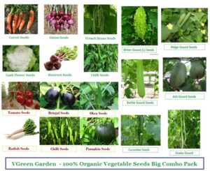 Vegetable Seeds