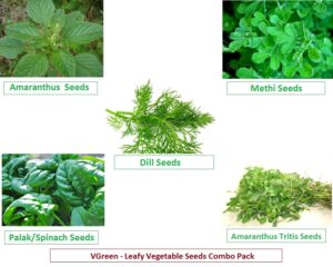 Leafy Vegetable Seeds